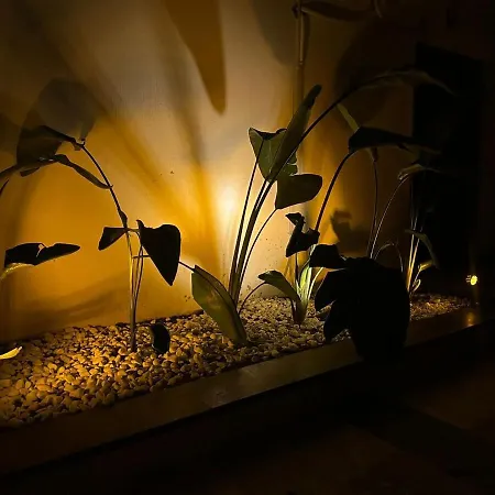 فيلة Welcome To Huzurderekoey Peksimet