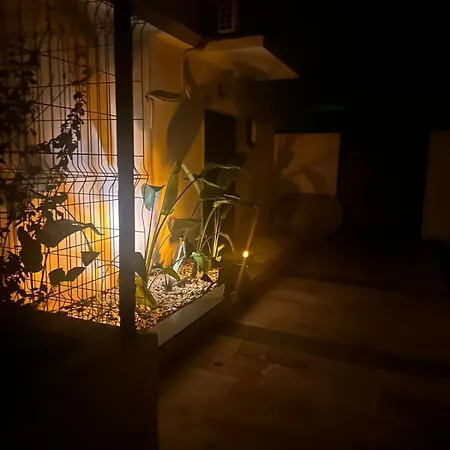 Welcome To Huzurderekoey Peksimet